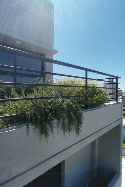 WhatsApp Image 2024-03-12 at 12.22.15 PM